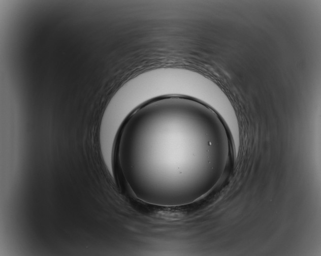 X0000088360515200705291310