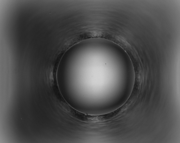 X0000088360516200705291310