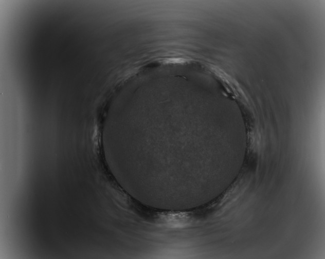 X0000088360517200705291310