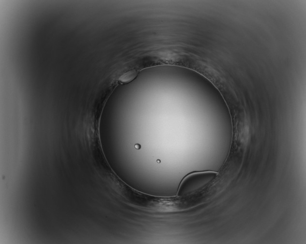 X0000088360518200705291310