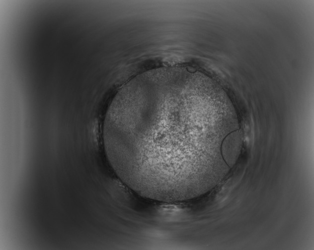 X0000088360519200705291310