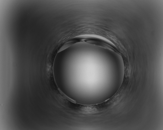 X0000088360521200705291310