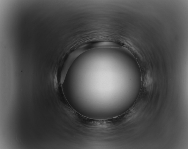 X0000088360524200705291310