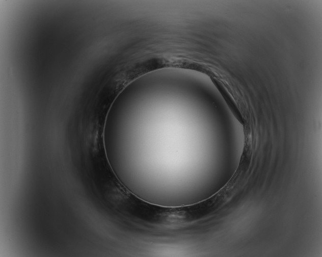 X0000088360525200705291310