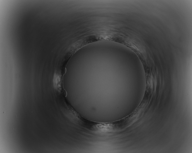 X0000088360526200705291310