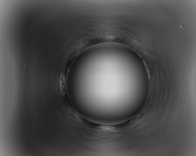 X0000088360528200705291310