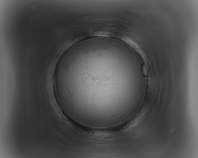 X0000088360529200705291309