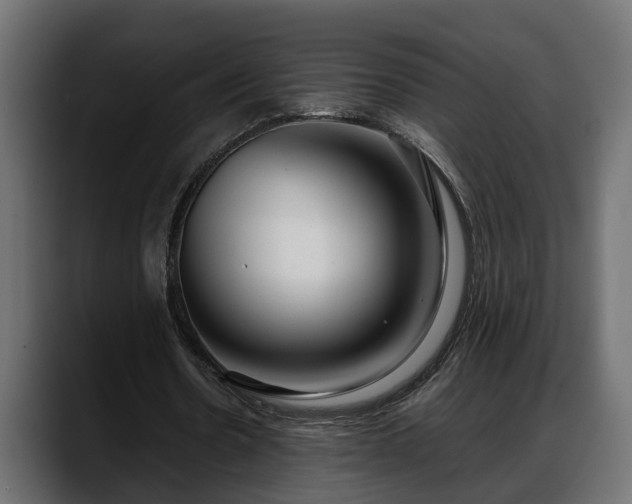 X0000088360530200705291309