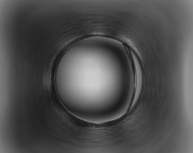 X0000088360531200705291309