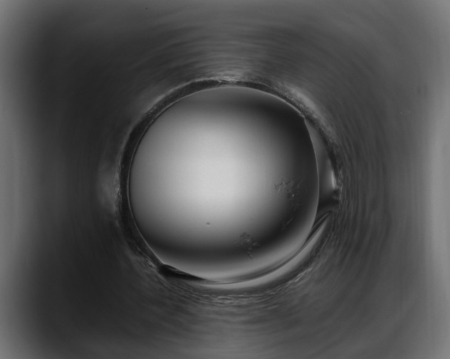 X0000088360532200705291309