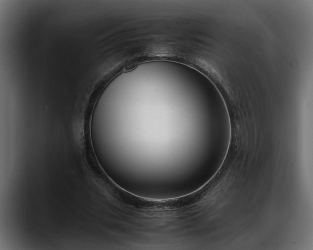 X0000088360535200705291309