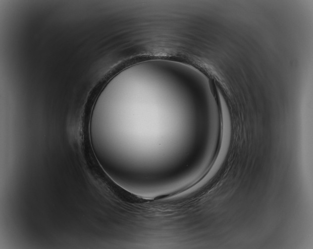 X0000088360536200705291309