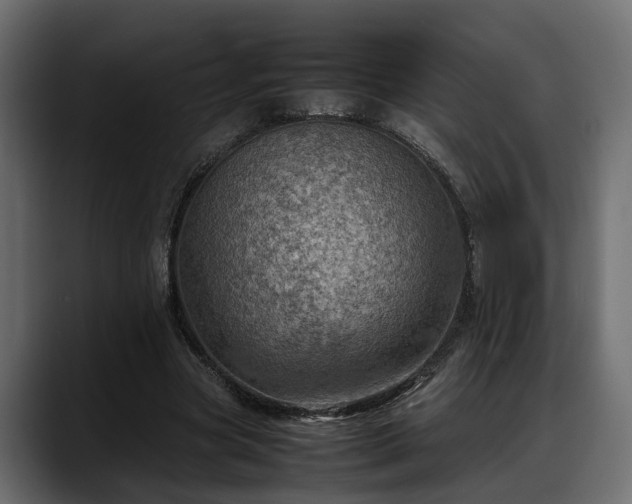 X0000088360537200705291309