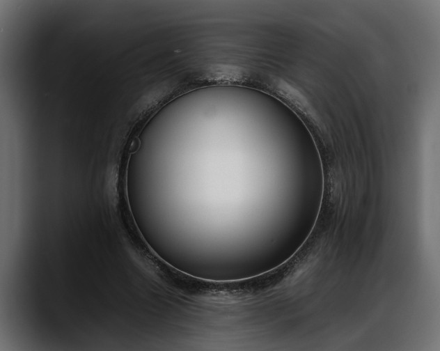 X0000088360538200705291309