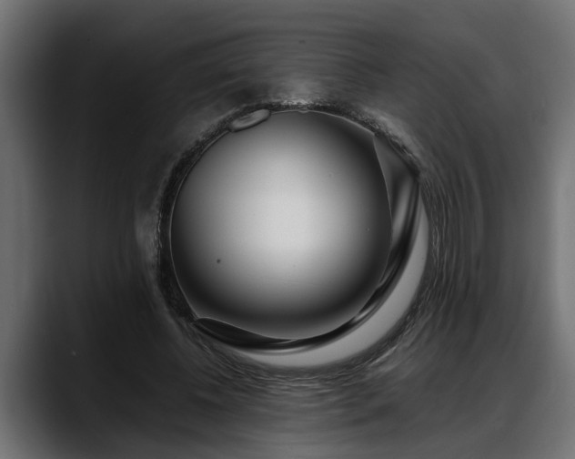 X0000088360540200705291309