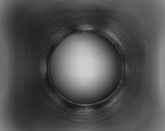 X0000088360541200705291309