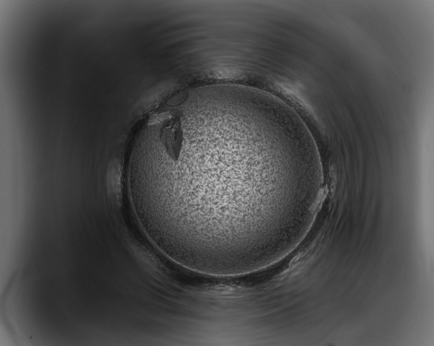 X0000088360542200705291309
