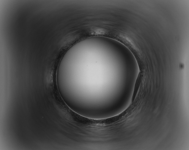 X0000088360543200705291309