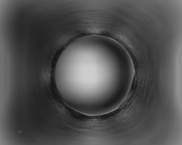 X0000088360544200705291309