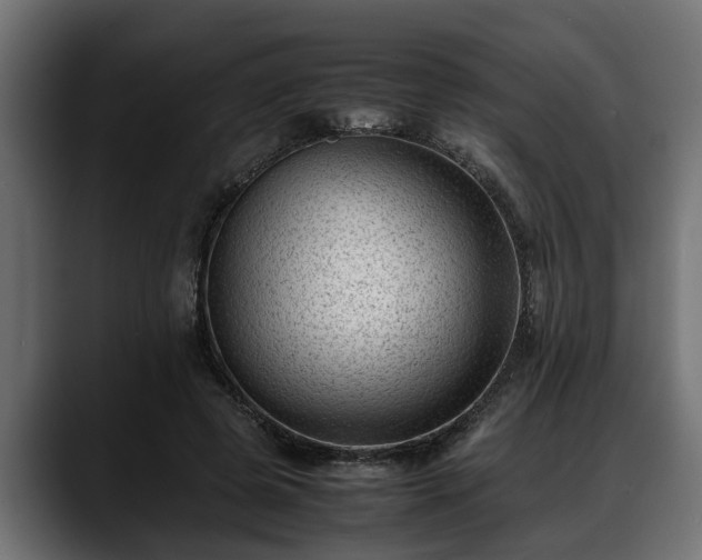 X0000088360545200705291309