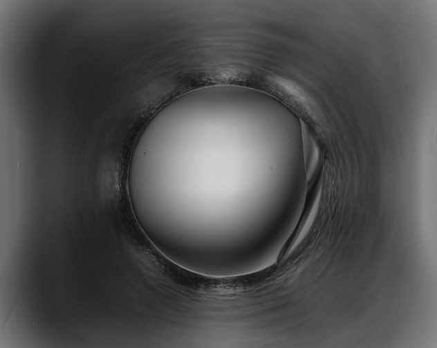 X0000088360546200705291309