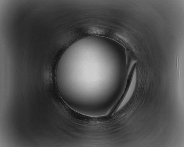 X0000088360547200705291309