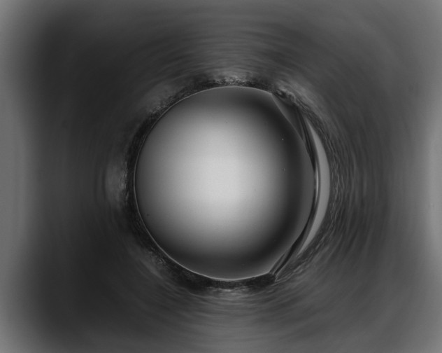 X0000088360548200705291309