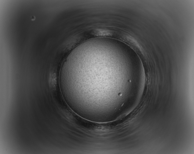 X0000088360549200705291309