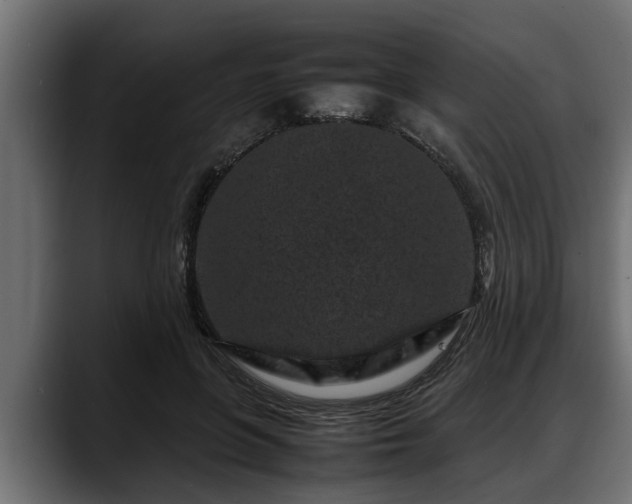 X0000088360551200705291309