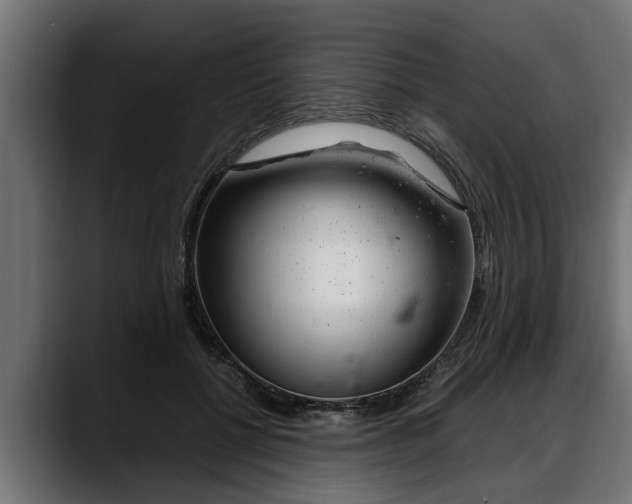 X0000088360552200705291309