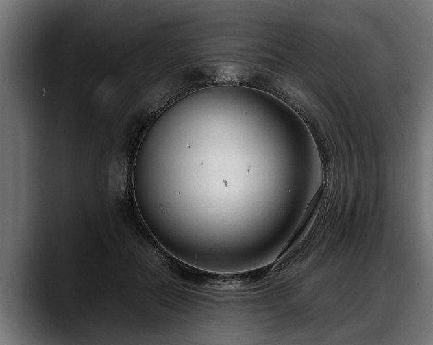 X0000088360554200705291309