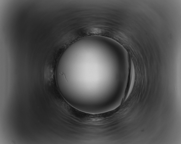 X0000088360555200705291309