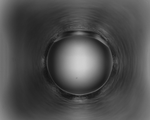 X0000088360556200705291309