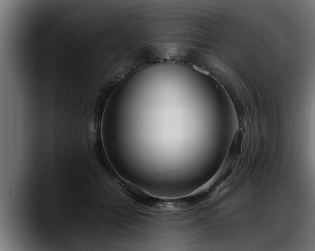 X0000088360558200705291309