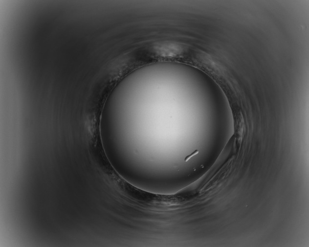 X0000088360559200705291309