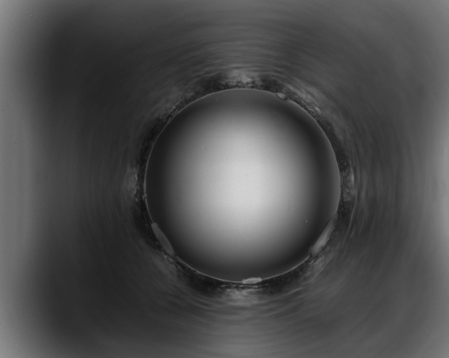 X0000088360560200705291309