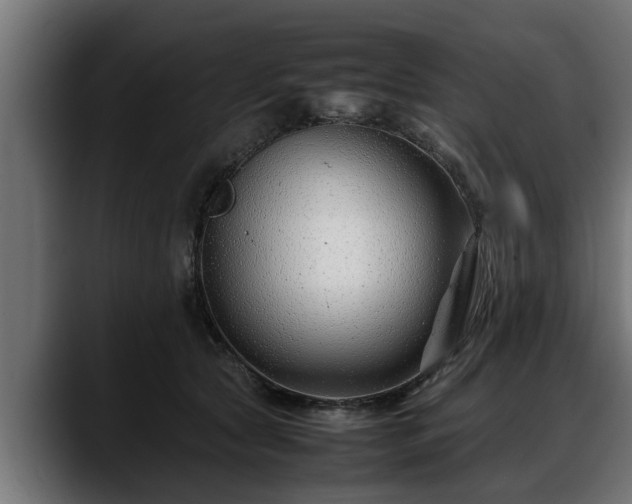 X0000088360561200705291309