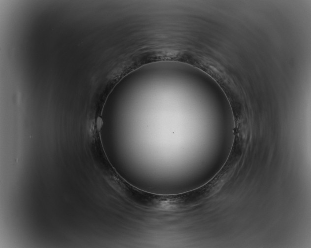 X0000088360564200705291309