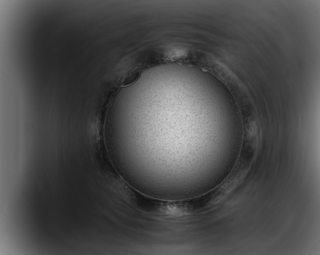 X0000088360565200705291310