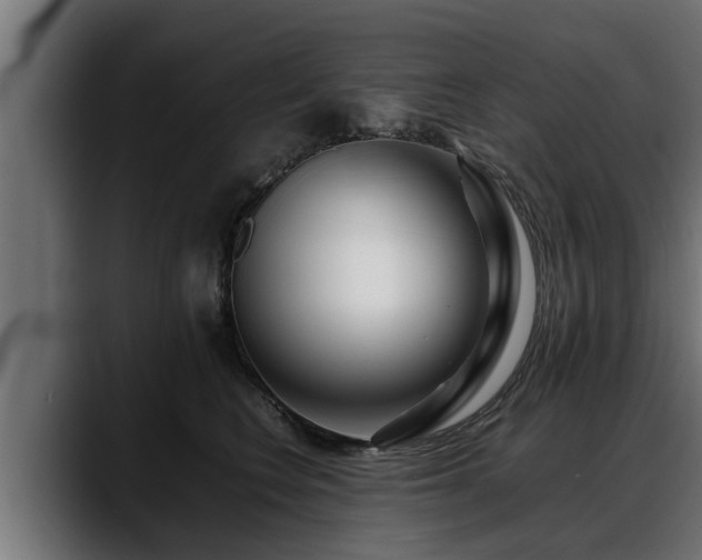 X0000088360566200705291310