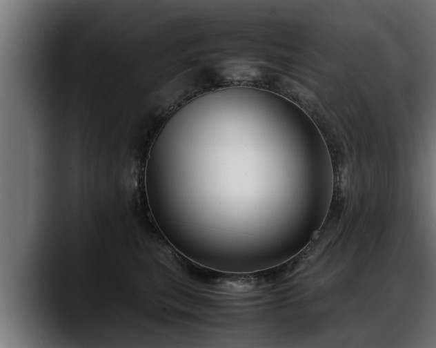 X0000088360567200705291310