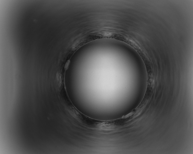 X0000088360568200705291310