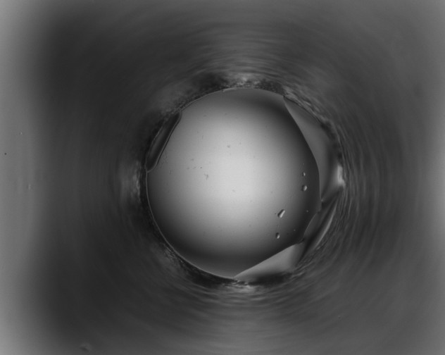 X0000088360570200705291310