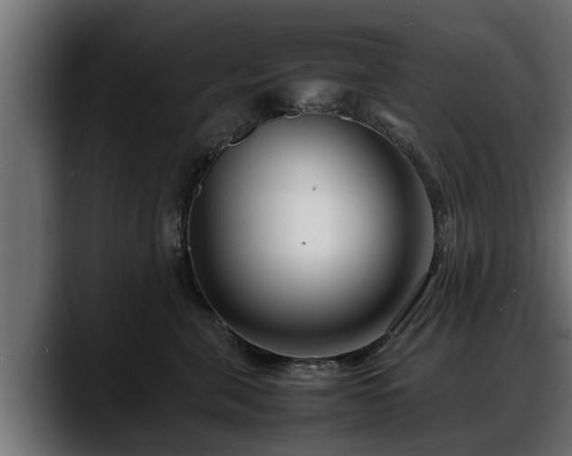 X0000088360571200705291310