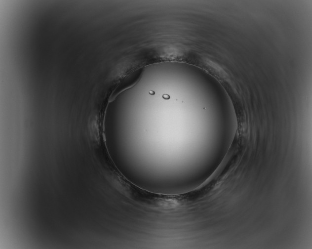 X0000088360572200705291310