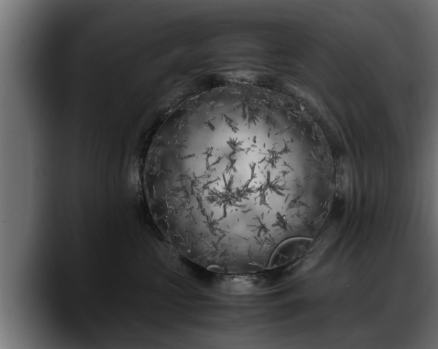 X0000088360573200705291310
