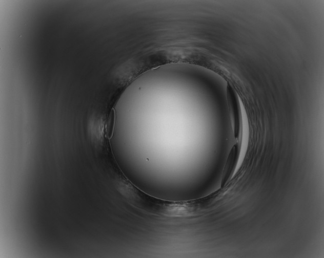 X0000088360574200705291310