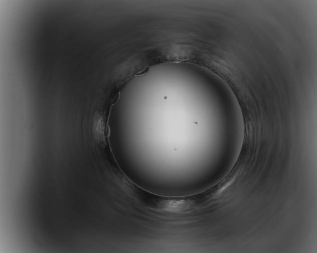 X0000088360575200705291310