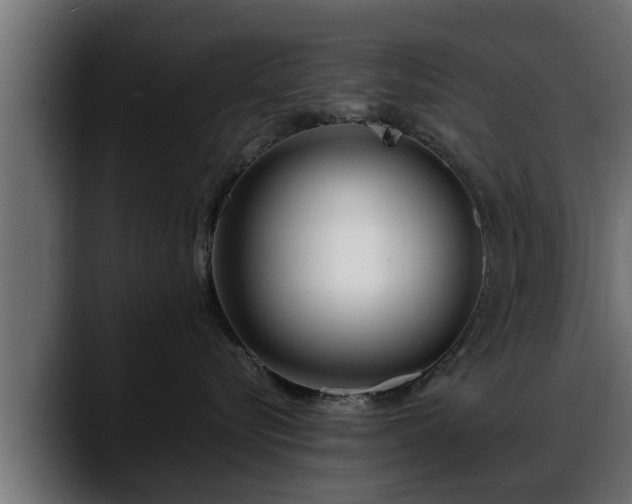 X0000088360576200705291310