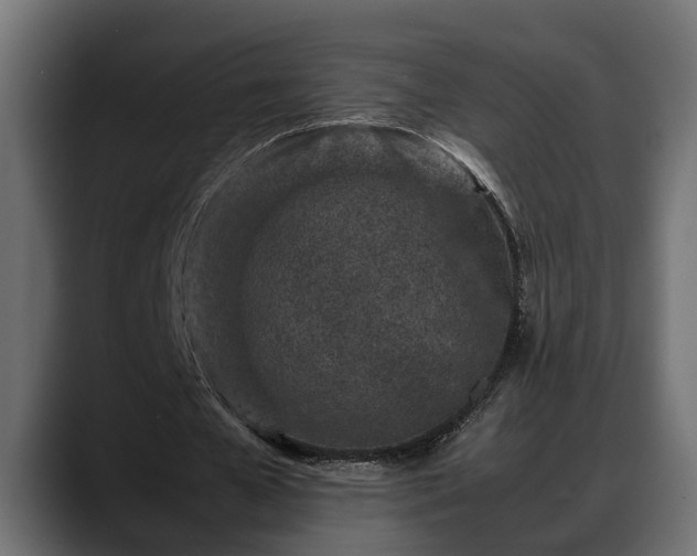 X0000088360577200705291309